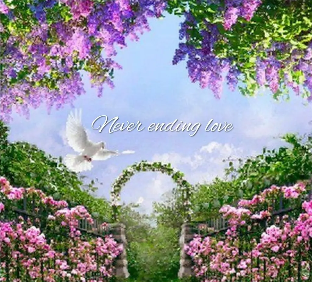 Condolence image of Liebevoll erinnern ~♡ Herz🥀 zu🥀 Herz♡ ~