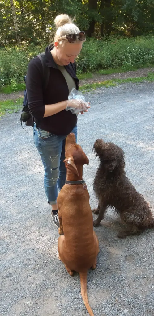 Andachtsbild von Daniela Gitzler