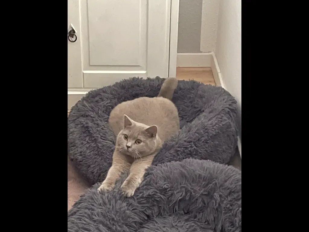 Andachtsbild von Unbekannt