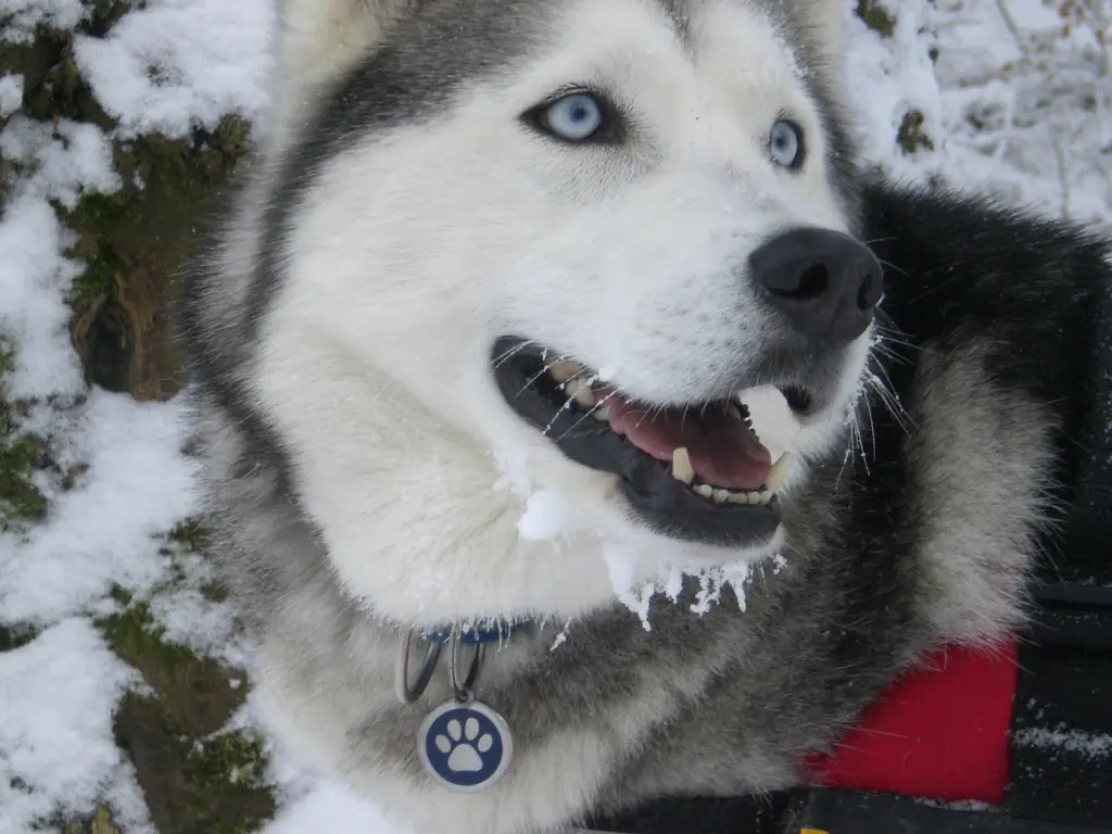 Condolence image of Eckhard