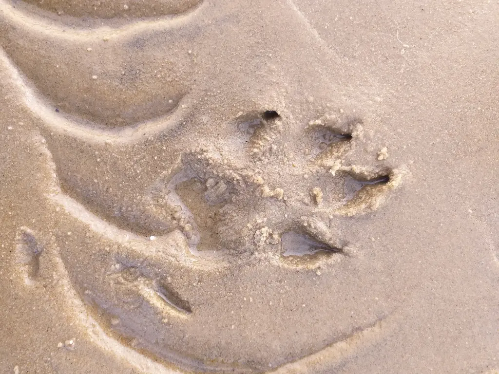 Condolence image of Karin  Truffel 