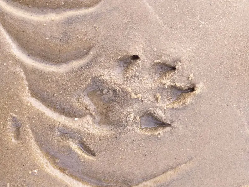 Condolence image of Karin