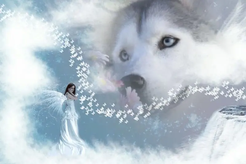 Condolence image of Karin Truffel 