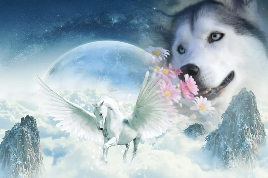 Condolence image of Karin 