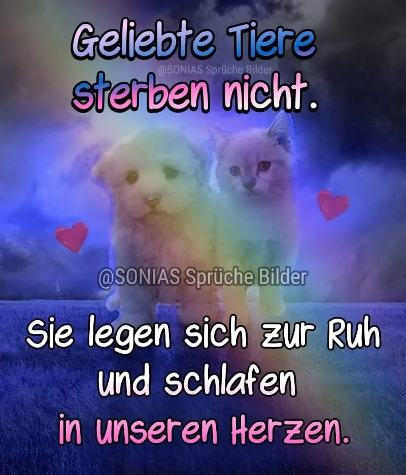 Condolence image of Karin  Truffel 