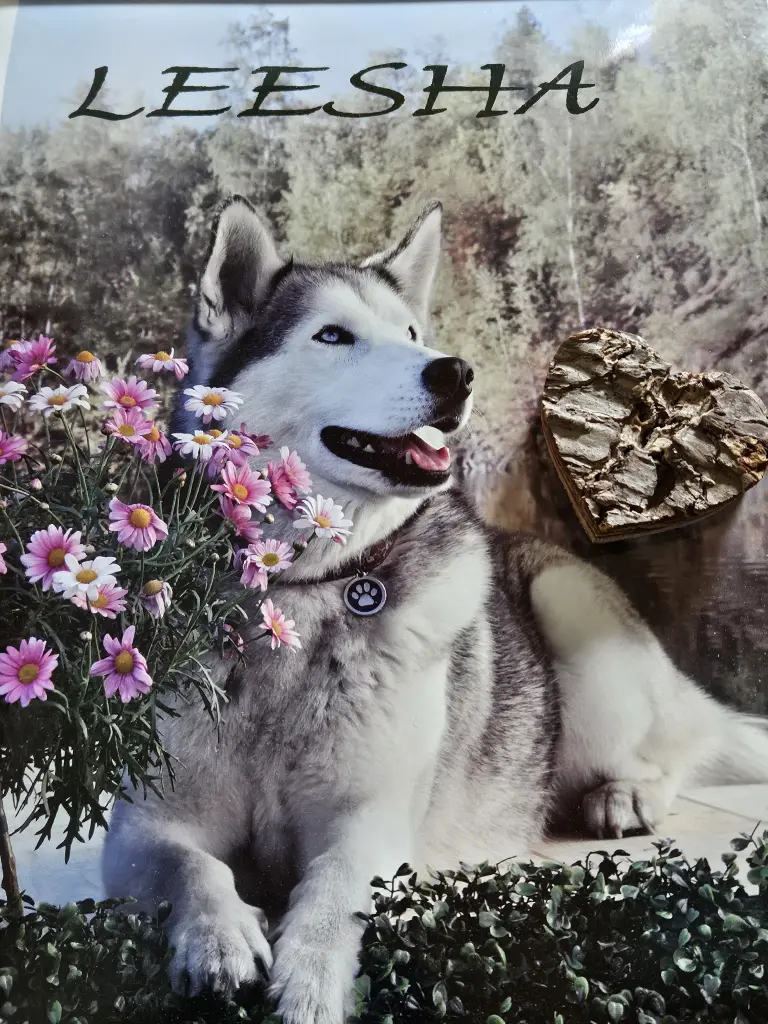 Condolence image of Karin  Truffel 