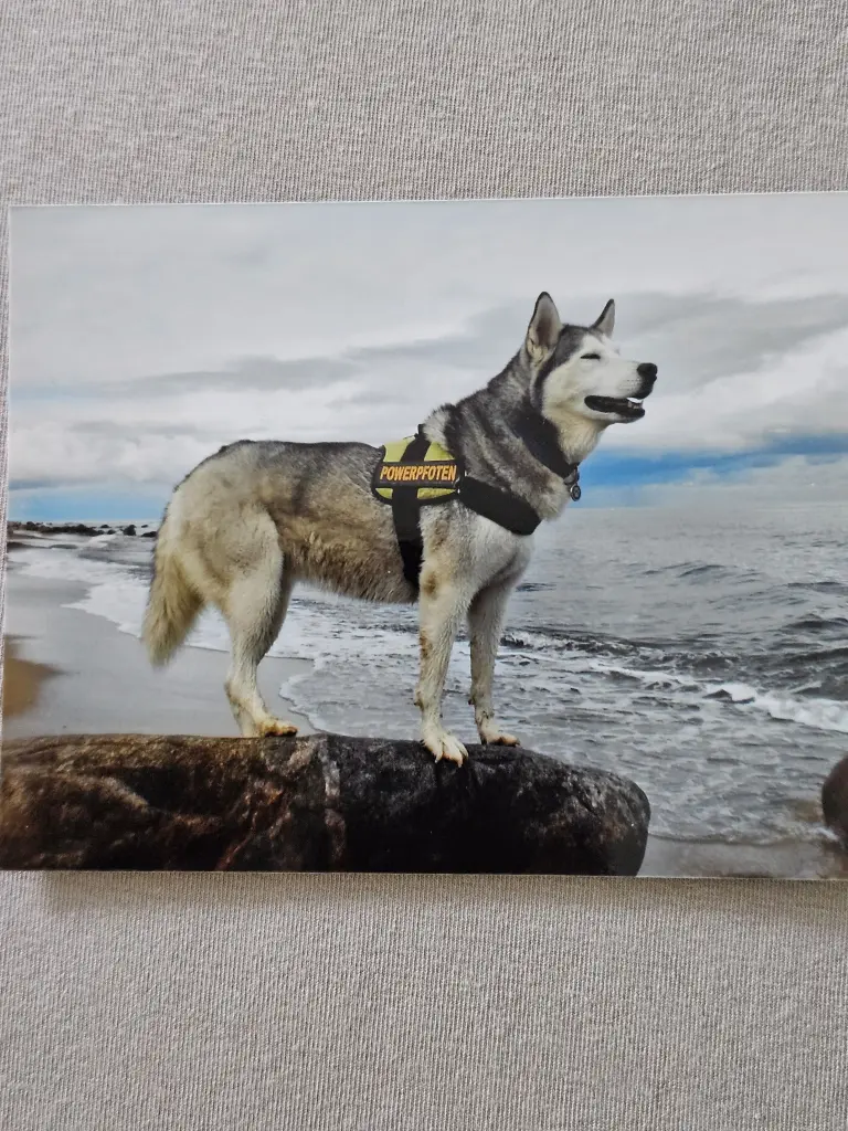 Condolence image of Karin  Truffel 