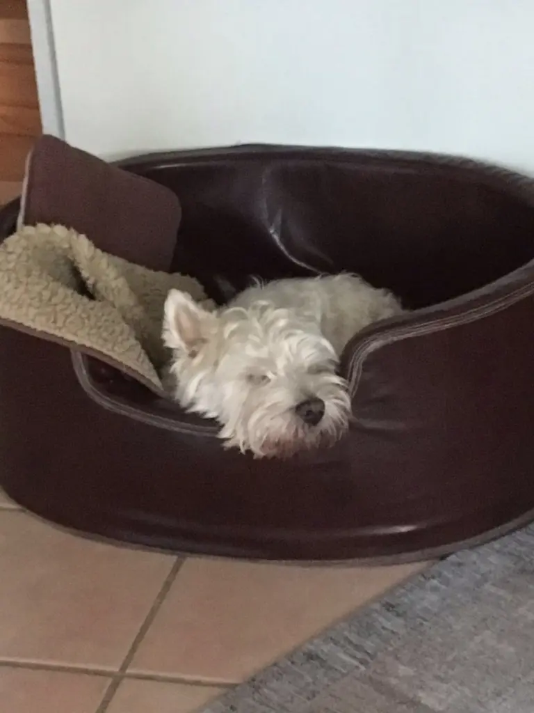 Condolence image of Karin