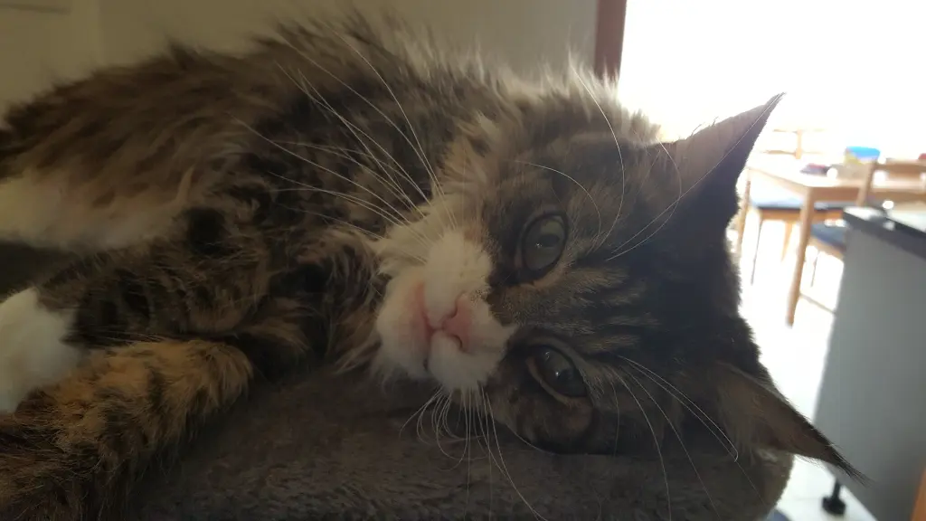 Andachtsbild von Nancy