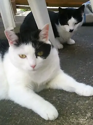 Condolence image of diana busch