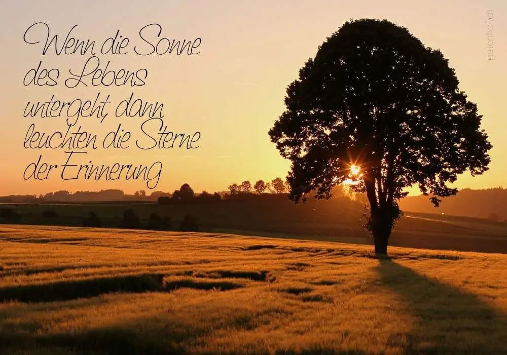 Condolence image of Melanie