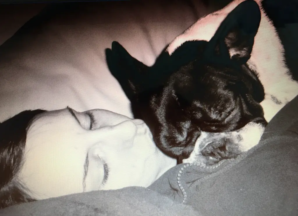 Andachtsbild von Janine