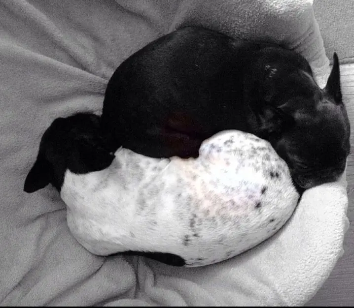 Andachtsbild von Janine