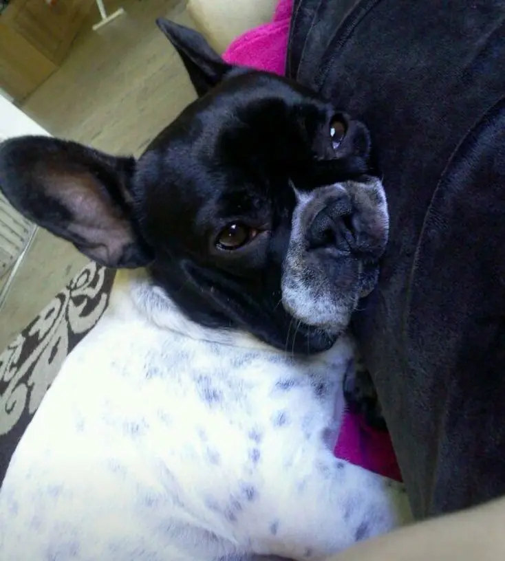 Andachtsbild von Janine