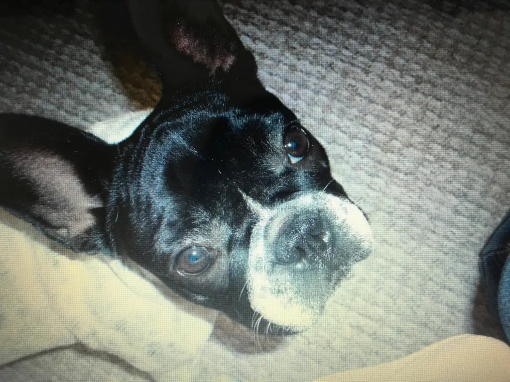 Andachtsbild von Janine