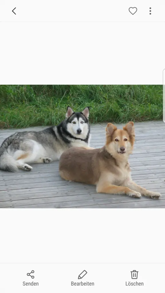 Image from Murphy, China und Merlin