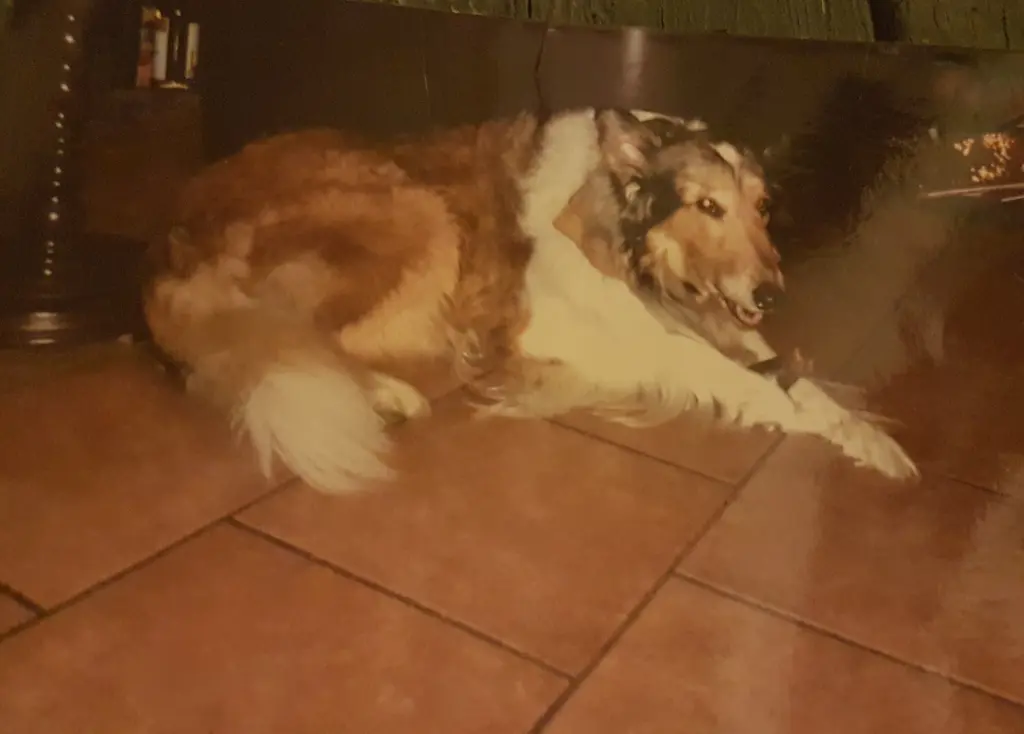 Image from Murphy, China und Merlin