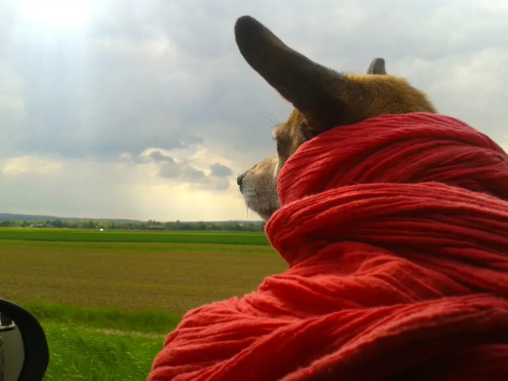 Andachtsbild von Unbekannt