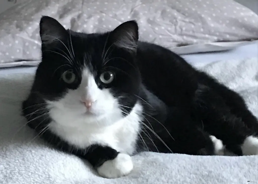 Andachtsbild von Susanne und Pumuckel im ❤️