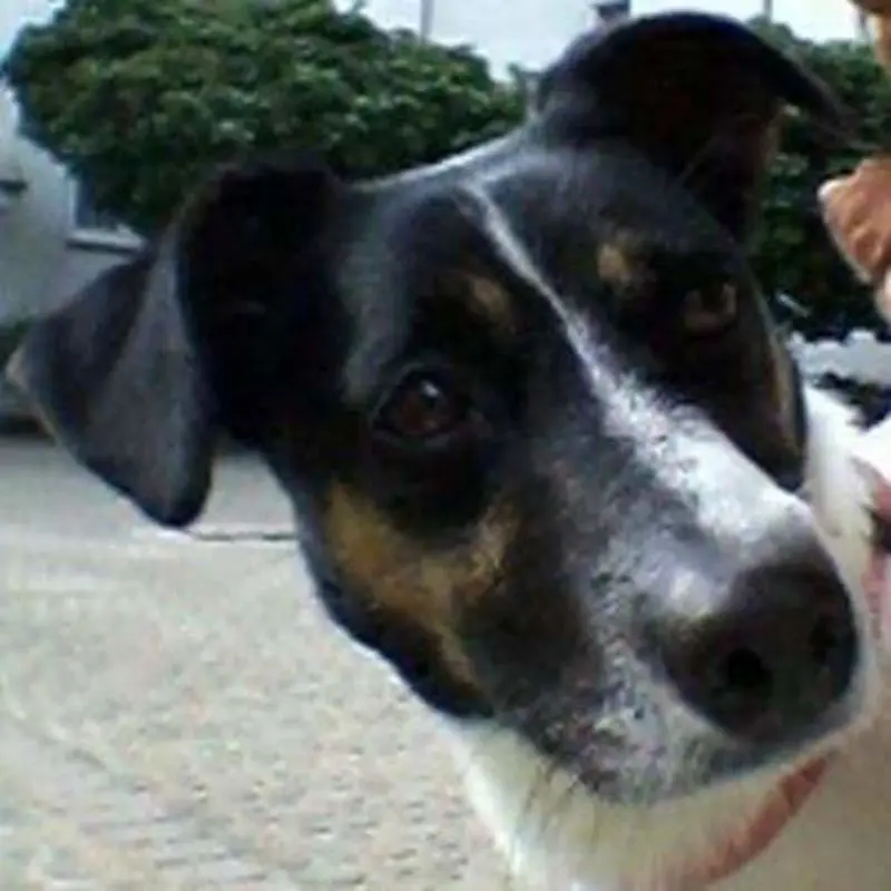 Image from Sundy