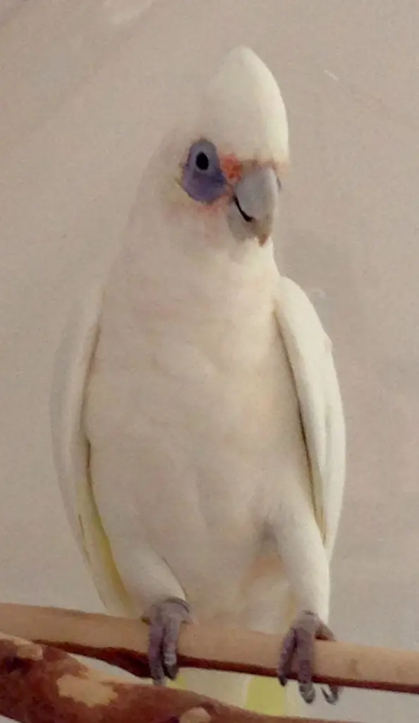 Condolence image of Andrea mit Rico im Herzen