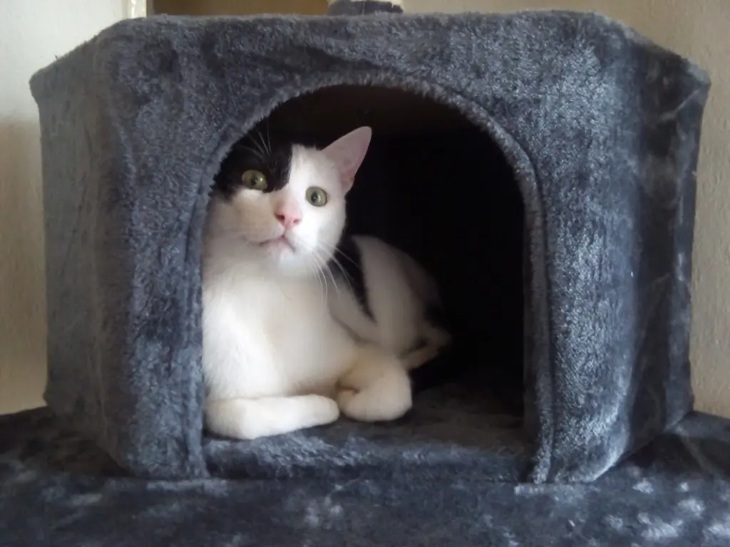 Condolence image of Chris Fiedler