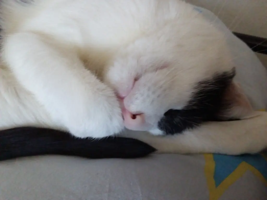 Condolence image of Chris Fiedler