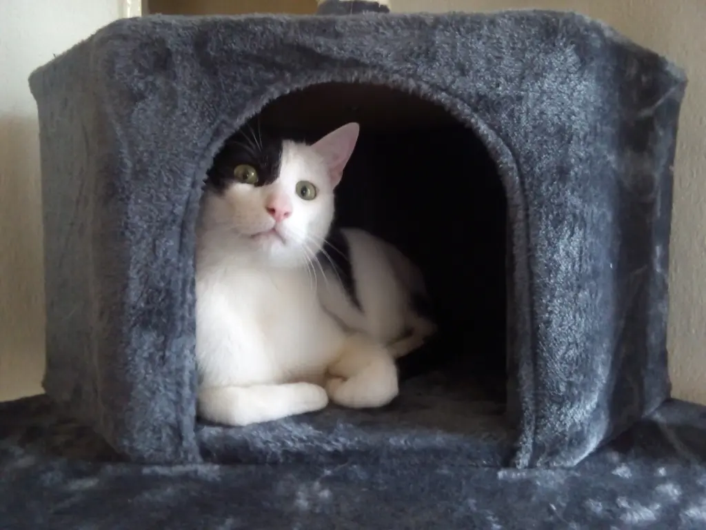 Condolence image of Chris und Samira