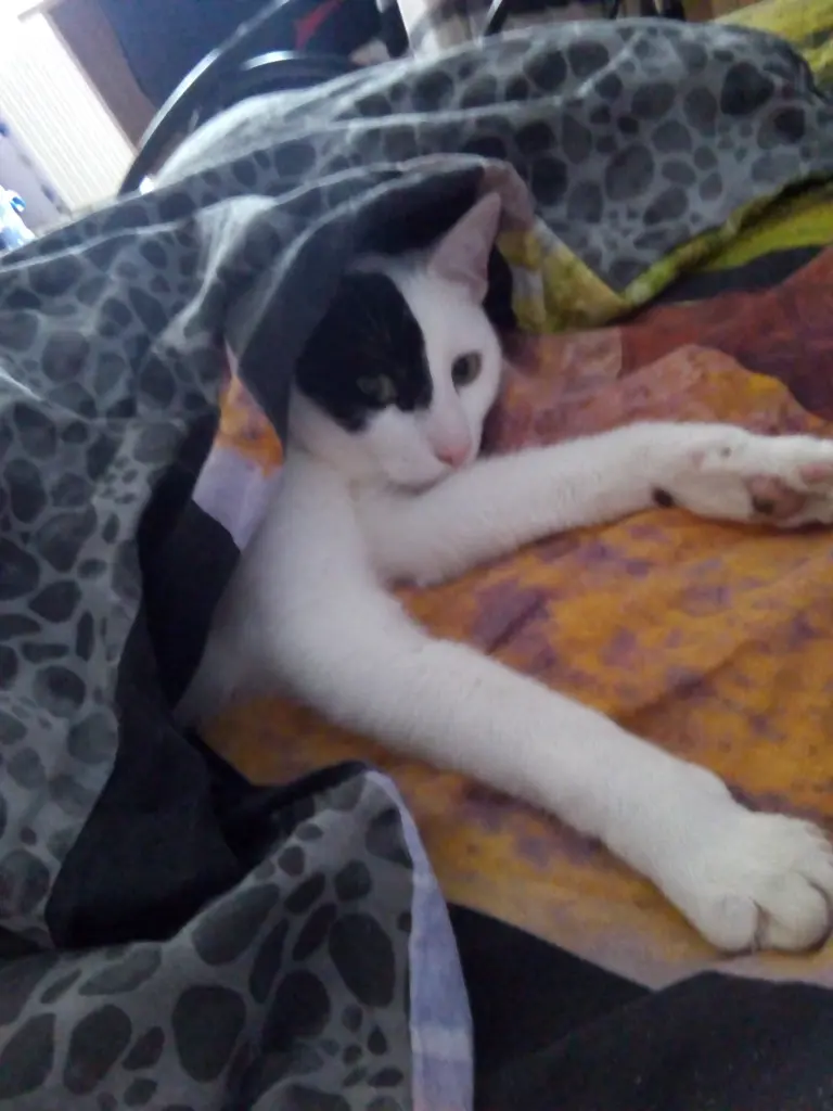 Condolence image of Chris Fiedler