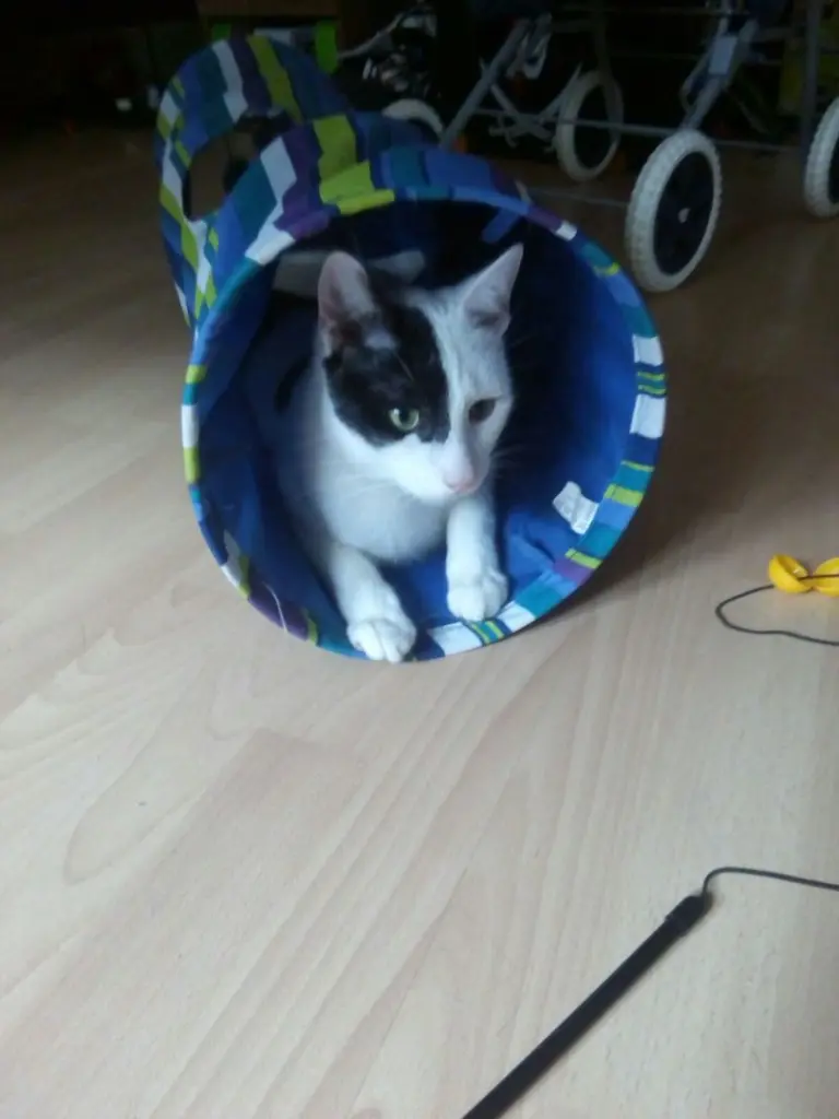 Condolence image of Chris Fiedler