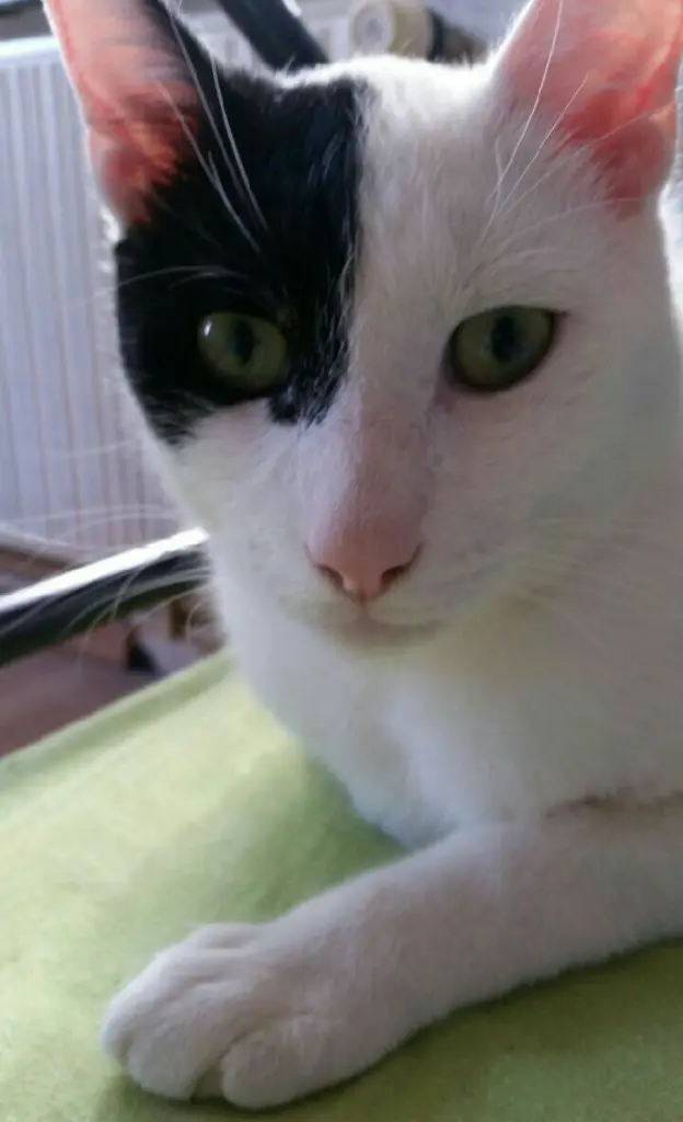 Condolence image of Chris Fiedler