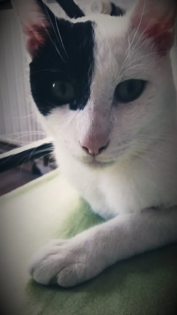 Condolence image of Chris Fiedler