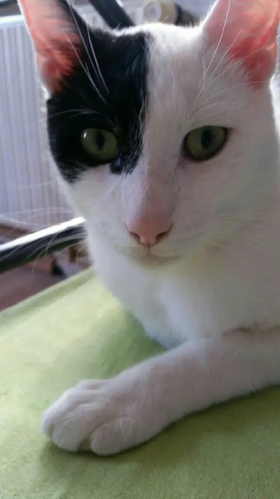 Condolence image of Chris Fiedler