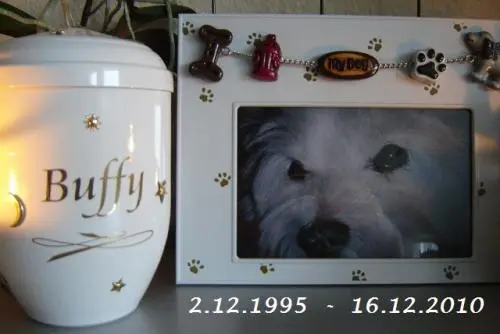 Image from Buffy