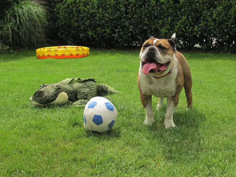 Condolence image of Katja