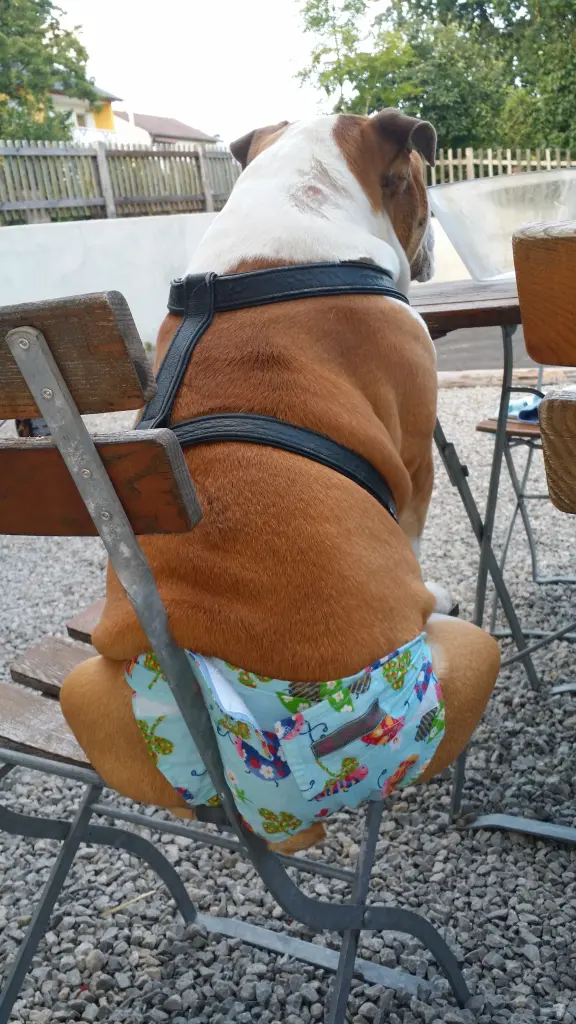 Condolence image of Frank