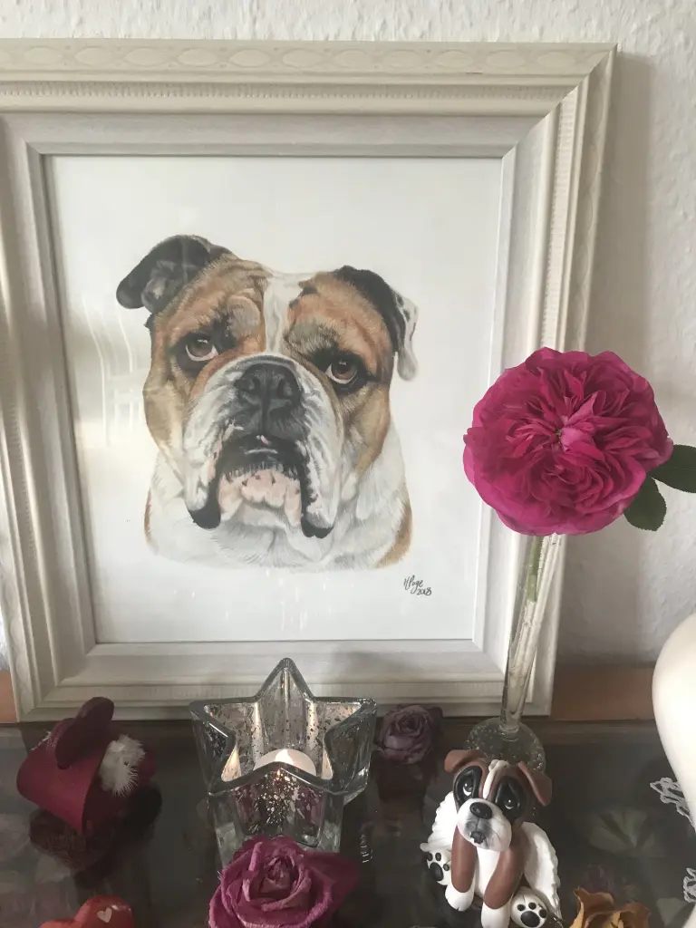 Condolence image of Dein Rudel