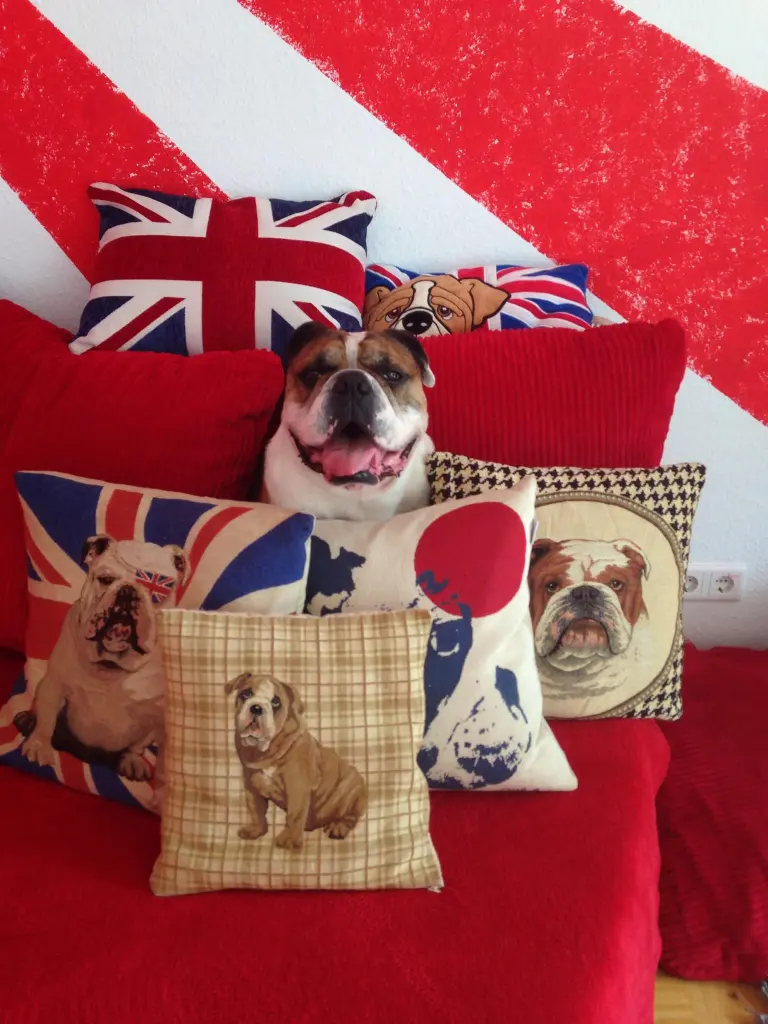 Image from Billy Beau