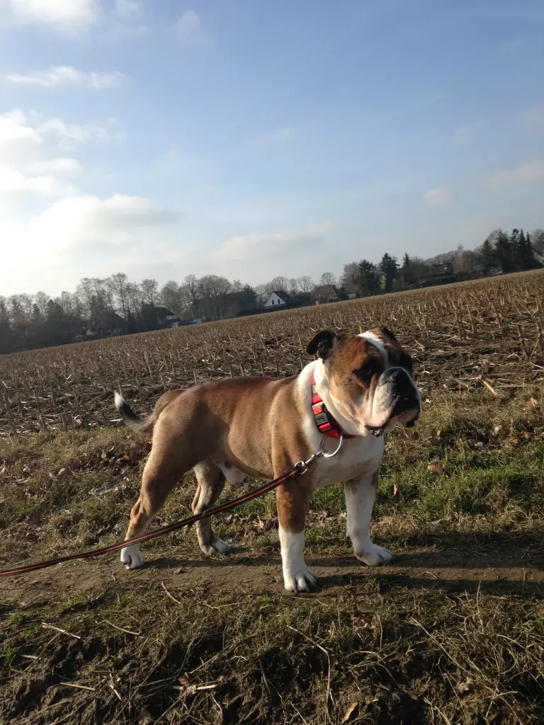 Image from Billy Beau