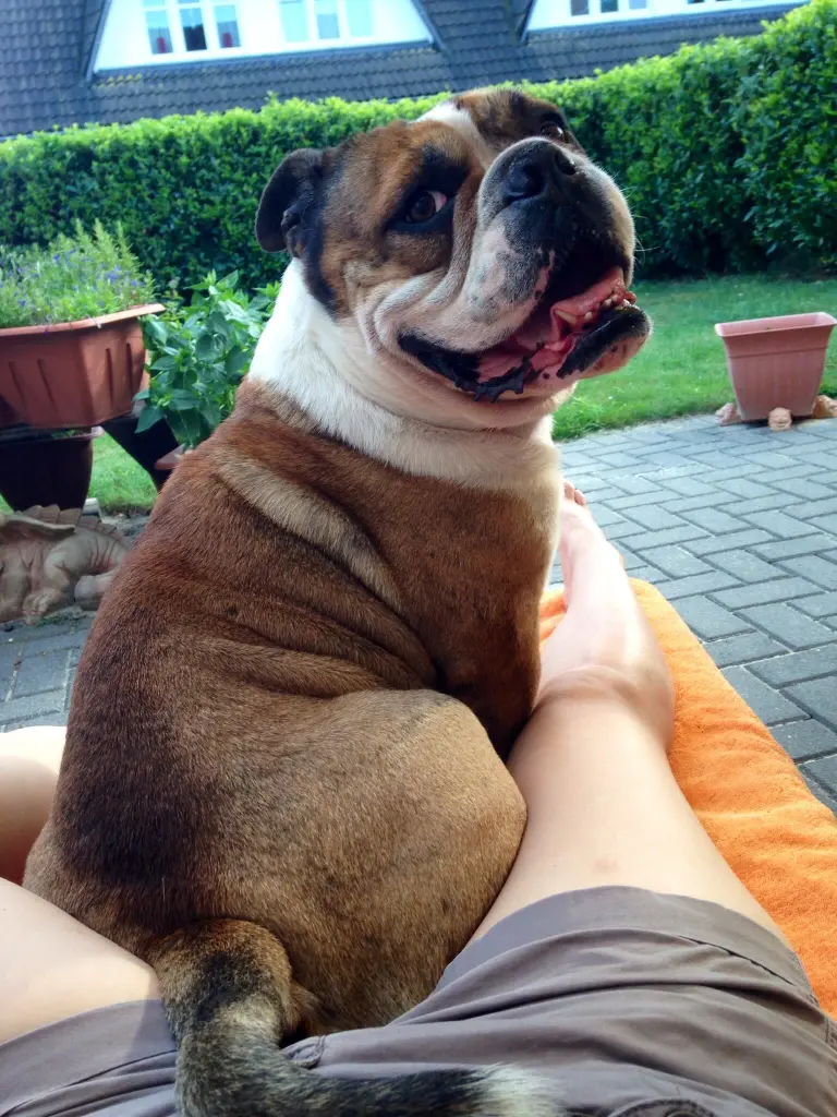 Image from Billy Beau