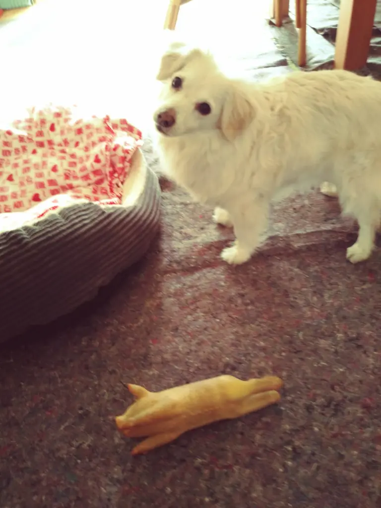 Andachtsbild von Regina