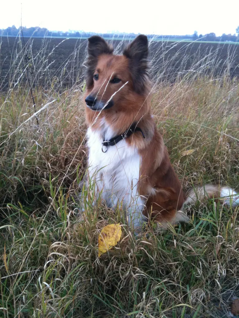 Condolence image of Katharina