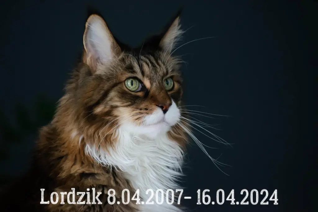 Andachtsbild von Roland und Nadja mit Lordzik im Herzen