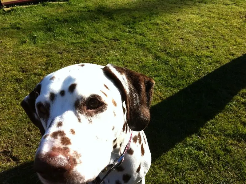 Condolence image of Kerstin mit Eddi