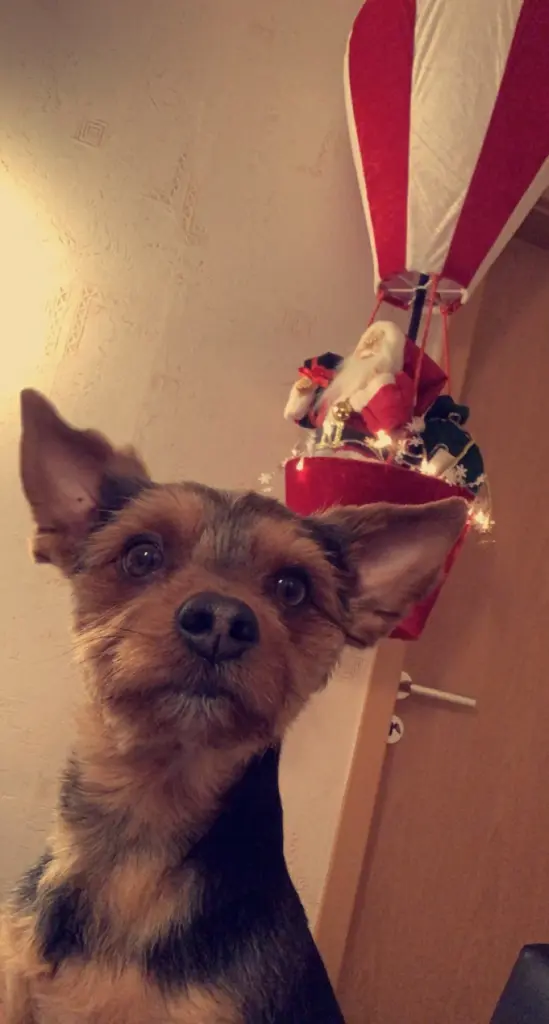 Andachtsbild von Celine