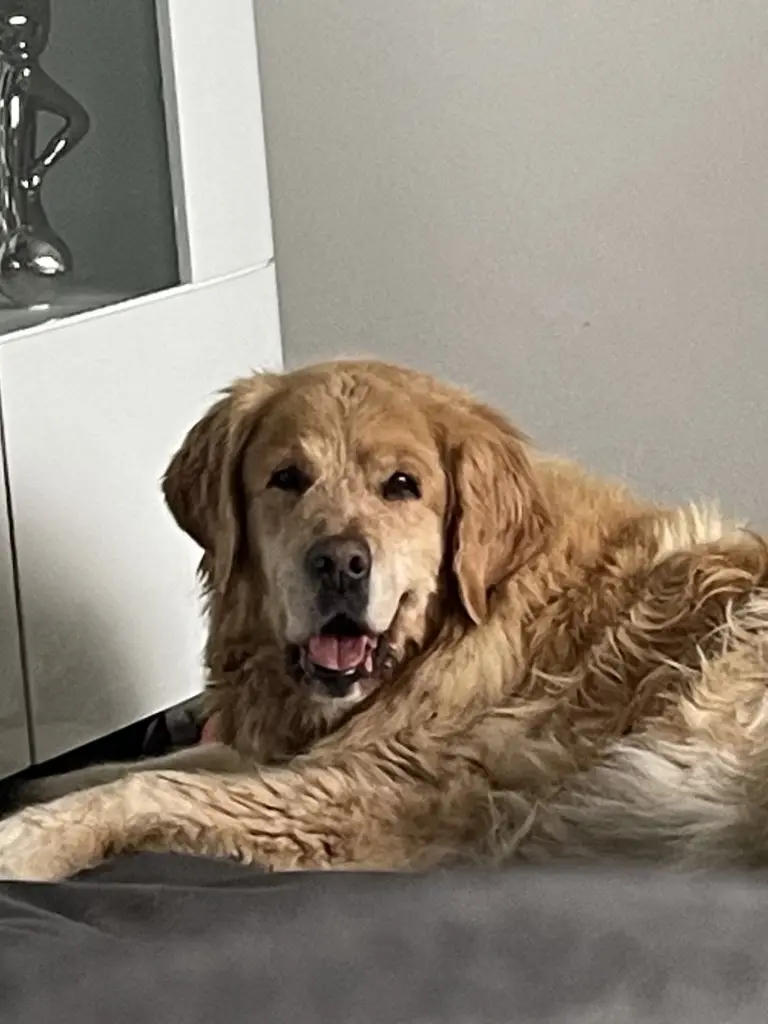 Andachtsbild von Angelika mit Luna ❤️ + 02.03.2023