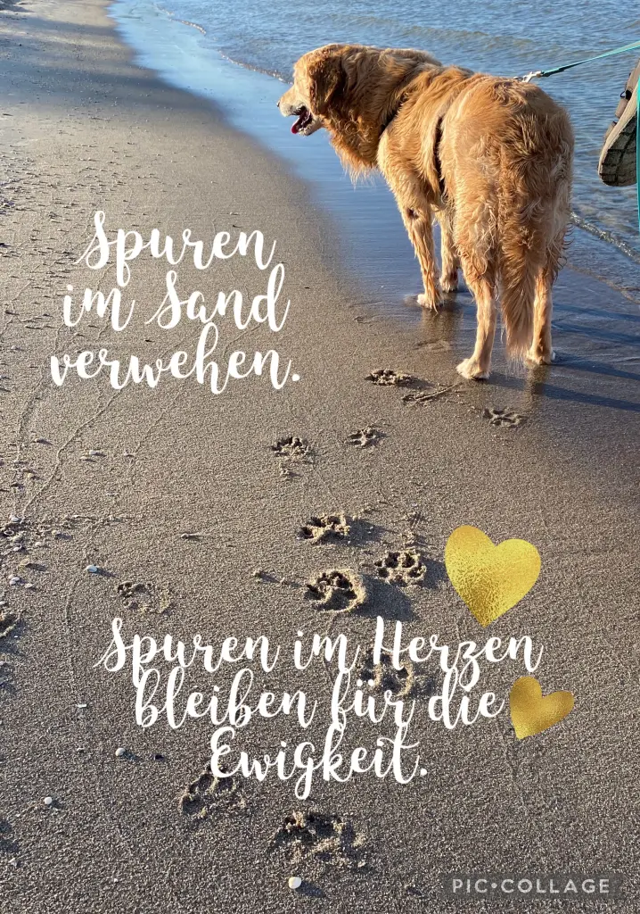 Andachtsbild von Ivonne