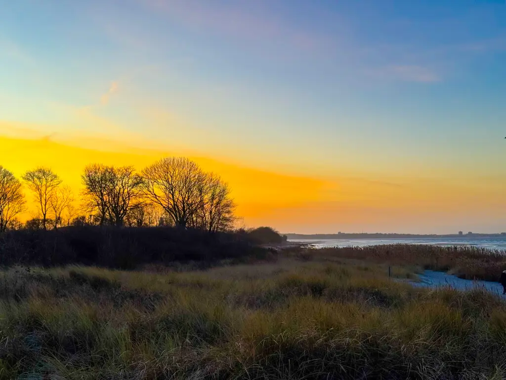 Condolence image of Ivonne Hoffmann
