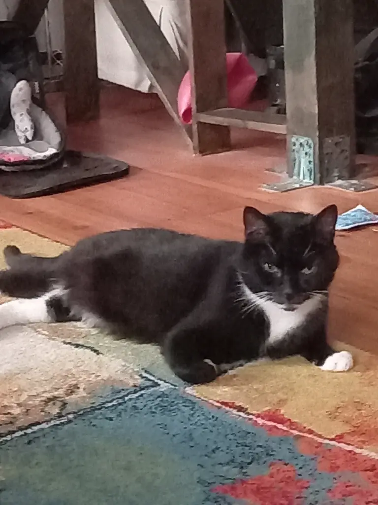 Andachtsbild von Barbara Koebe