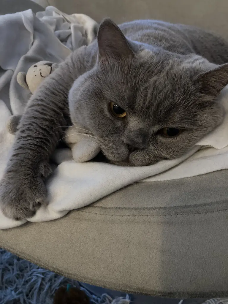 Andachtsbild von Anja